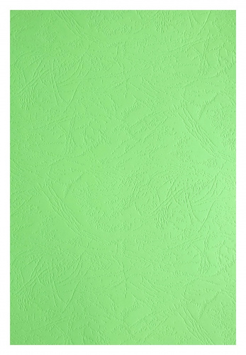 Обложки для переплета картонные, текстура кожа, 230г/м2, А3, светло-зеленый