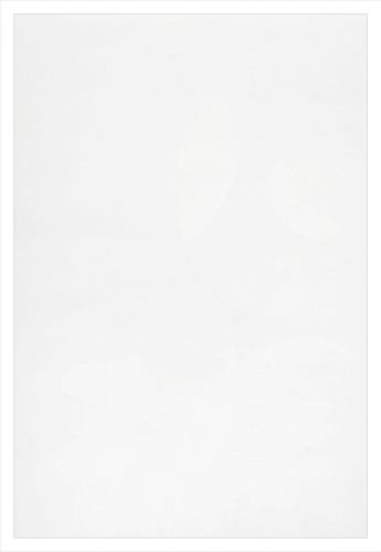 Обложки для переплета ПолиПропиленовые прозрачные матовые, 0,40мм, А4, бесцветные