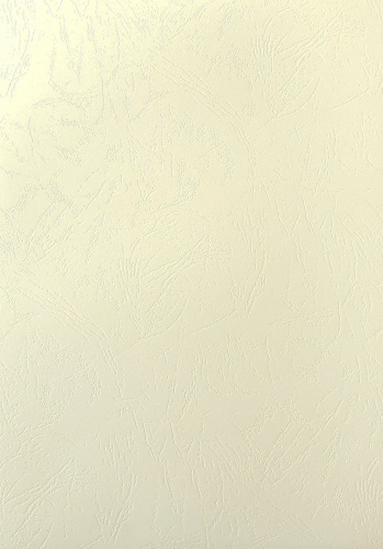 Обложки для переплета картонные, текстура кожа, 230г/м2, А4, слоновая кость
