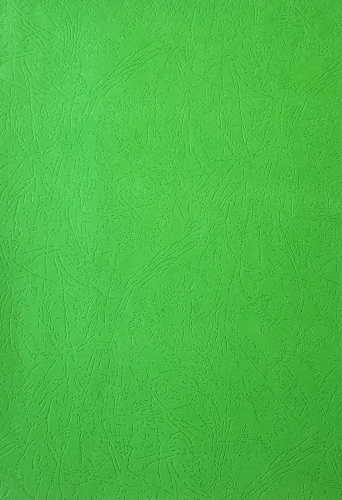 Обложки для переплета картонные, текстура кожа, 230г/м2, А3, зеленый