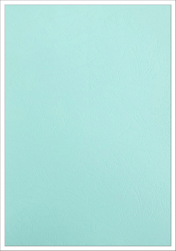 Обложки для переплета картонные, текстура кожа, 230г/м2, А4, светло-голубой